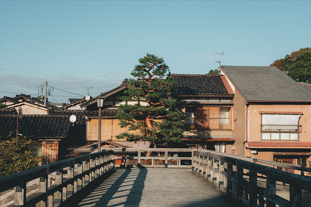 梅ノ橋　金沢　松の木　観光　旅行